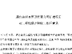 烟台蝴蝶视频塑胶有限公司扩建项目验收意见